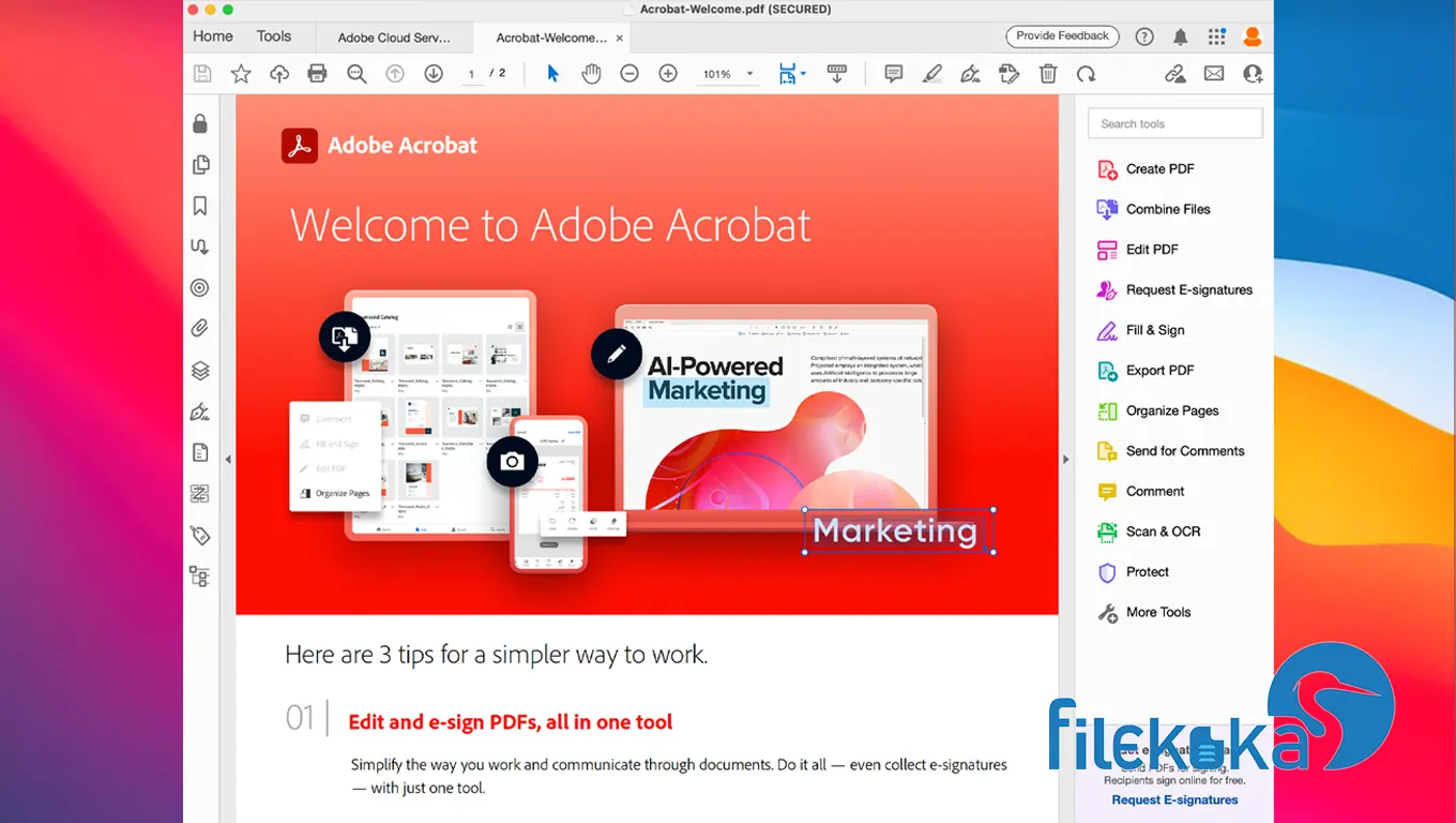 Adobe Acrobat Reader